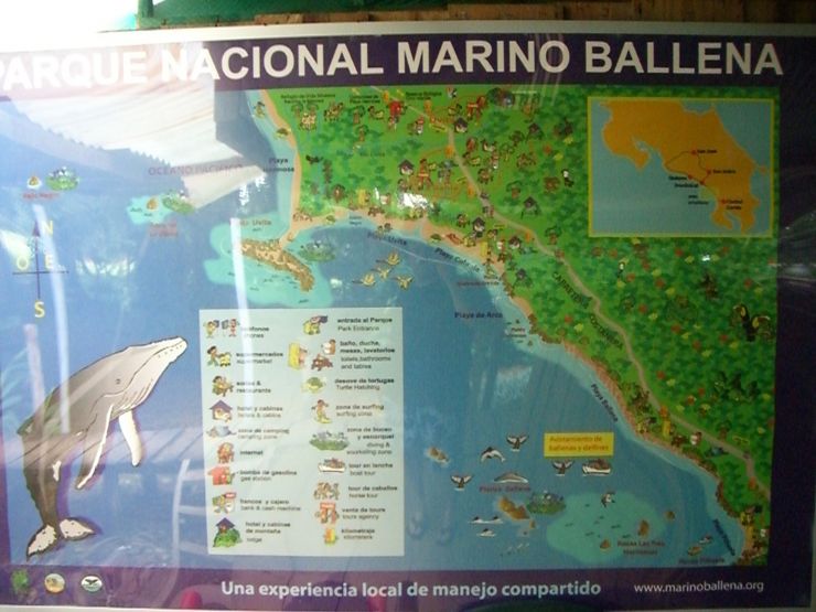 Map of Entrance to Ballena National Marine Park