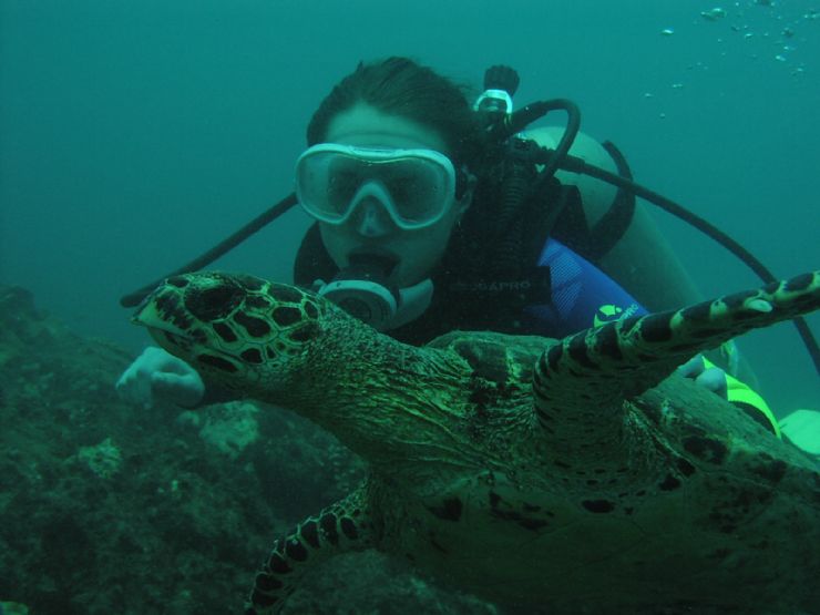 Scuba Diving with Marine Turtle