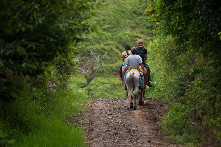 Horseback riding to Monteverde