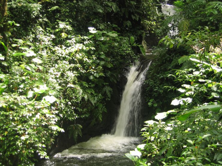 monteverde cloud forest reserve costa rica go visit costa rica