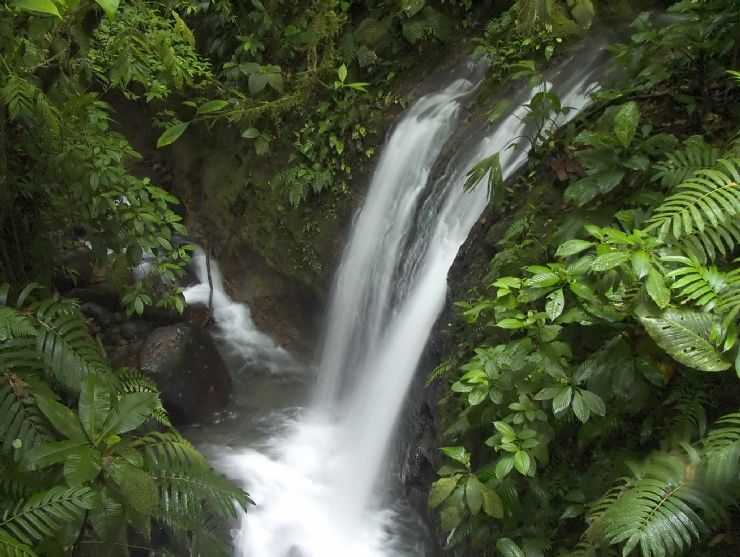 Waterfall at Monteverde Reserve