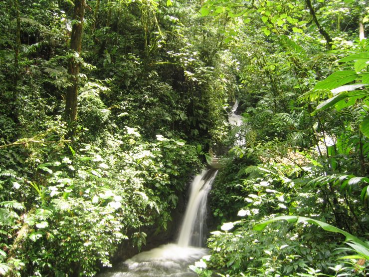 Waterfall at Monteverde Cloud Forest Reserve