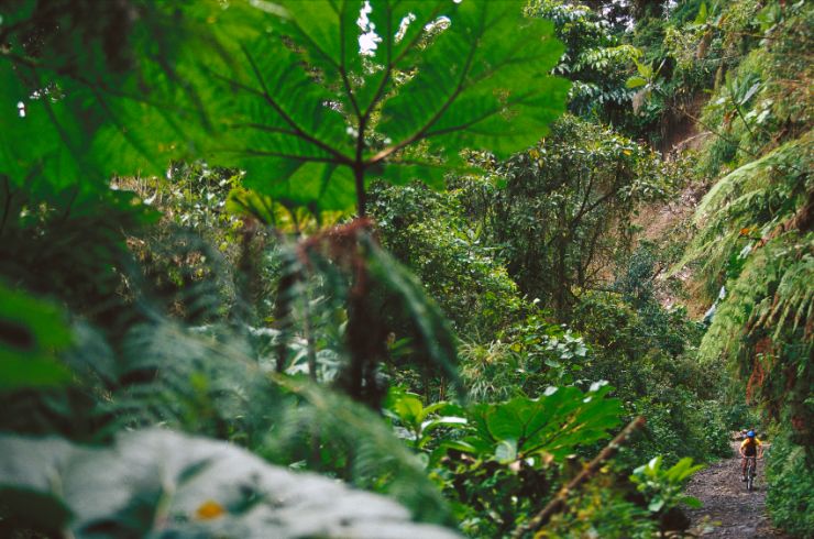 Mountain biking on a trail near Poás Volcano