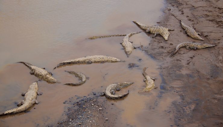 Terrifying view over Tarcoles River