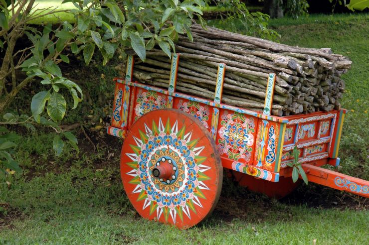 Ox Cart or Carreta in Siquirres