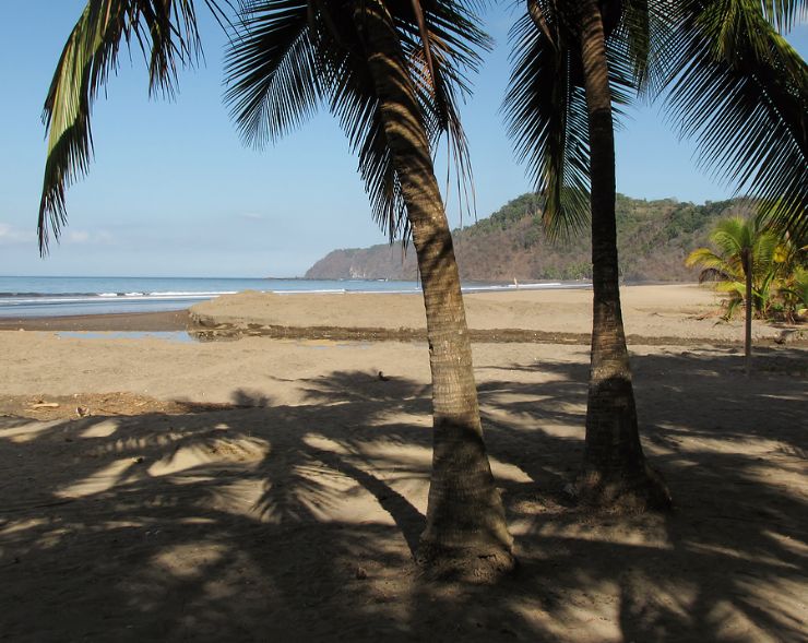 Palm shadow on the beach in Jaco