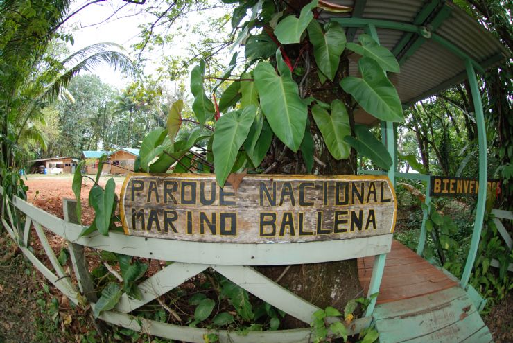 Ballena National Marine Park Entrance Sign