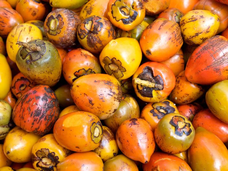 Pejibaye (Peach Palm Fruit)