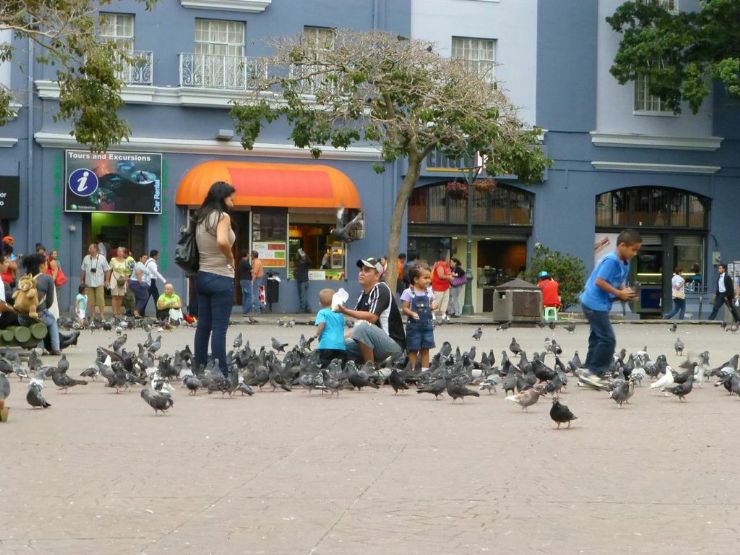 Family feeding pigeons in Plaza de a Cultura in Downtown San Jose