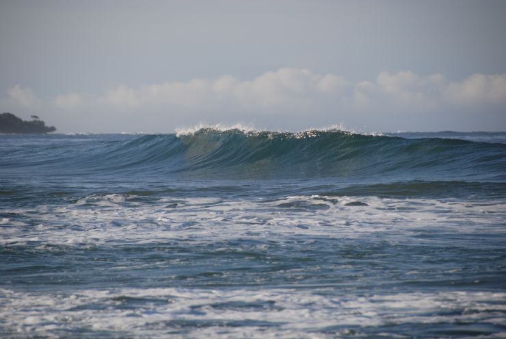 Head High Wave at Playa Langosta