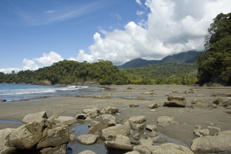 Beautiful Beach Landscape at Playa Tortuga