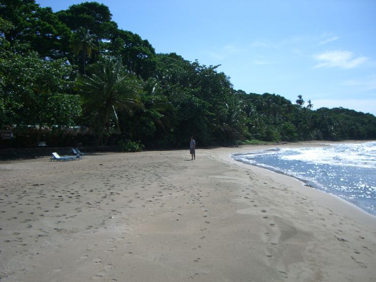 Beautiful Caribbean Beach