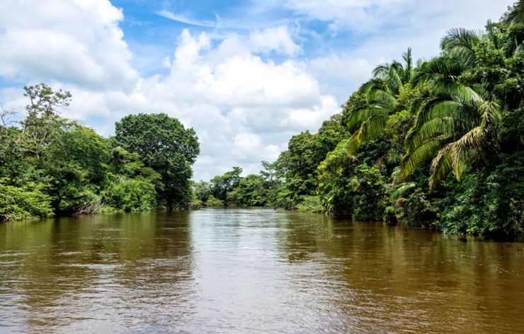 Rio Frio in Los Chiles