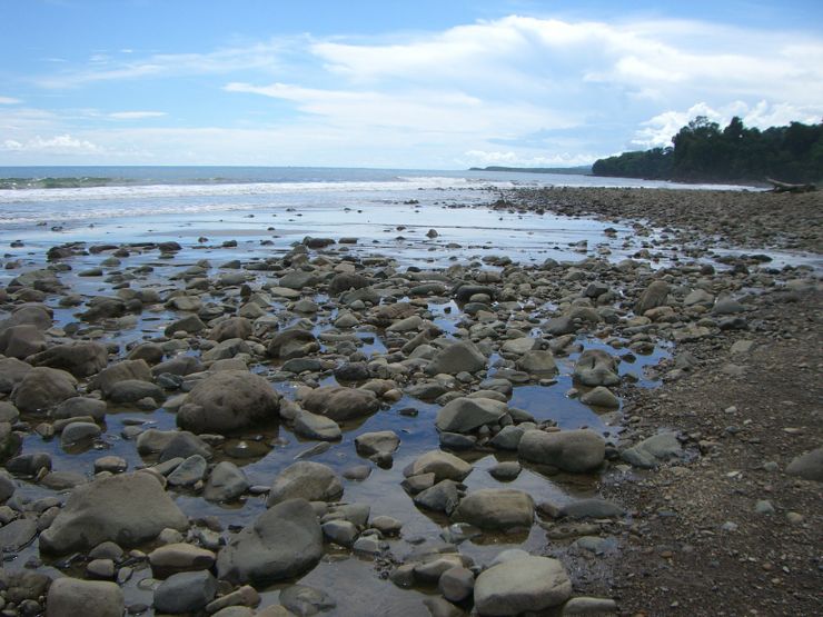 Rocky Reef at Ballena National Marine Park