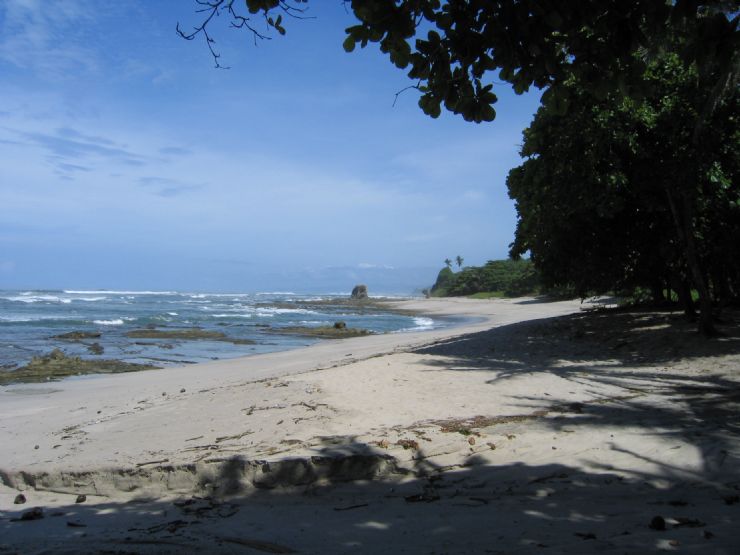 Santa Teresa Costa Rica City Guide Go Visit Costa Rica