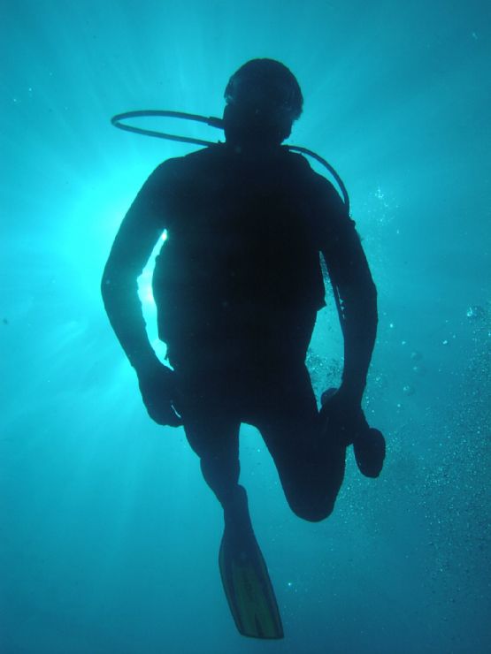 Scuba Diving in Drake Bay