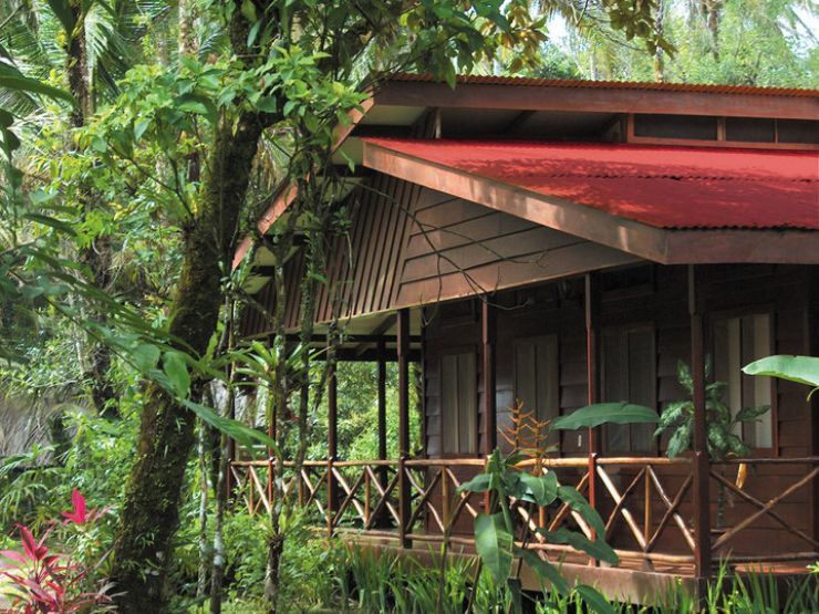 The Beautiful Pachira Lodge Room