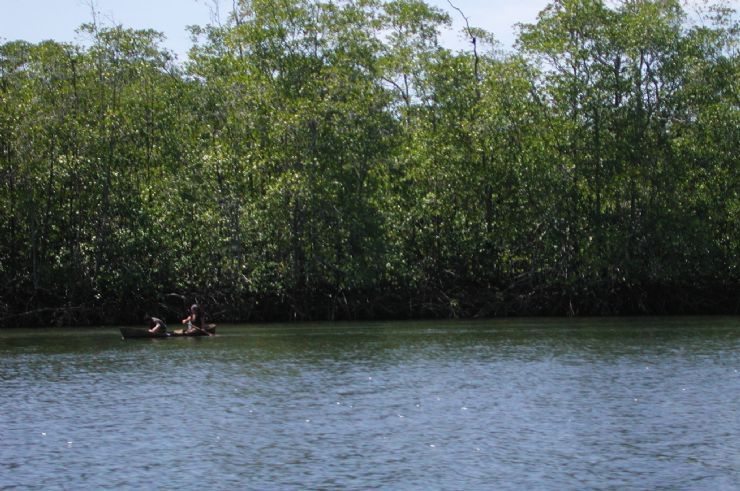 Sierpe river, Palmar Sur