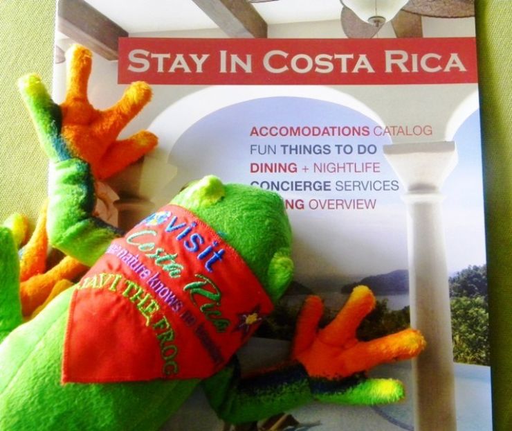 Javi the Frog and Stay In Costa Rica, the perfect company