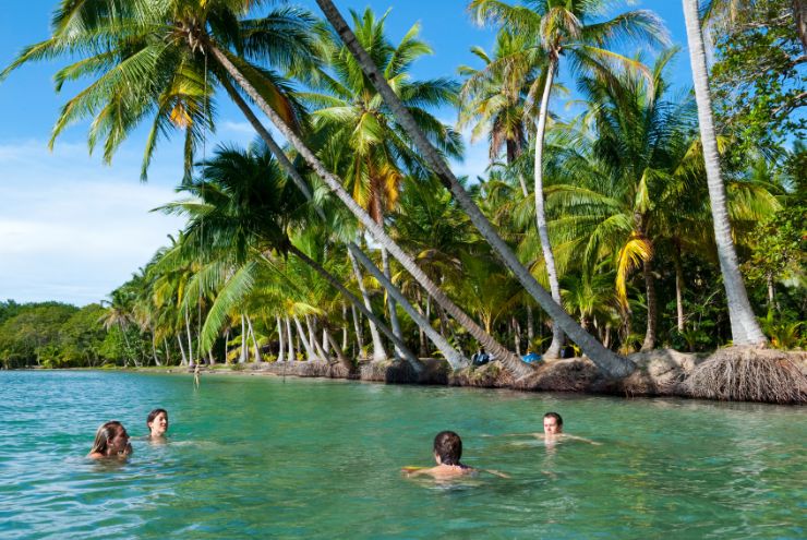 [Image: full-swimming-calm-waters-bocas-del-toro.jpg]