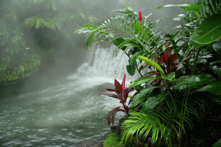 Waterfall at Tabacon Hot Springs