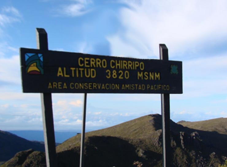 At the top of Cerro Chirripó - Chirripó National Park