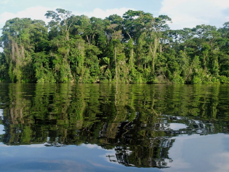 Tortuguero Cristal clear waters