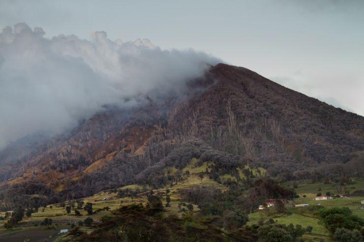 Turrialba Volcano smoking over ash covered trees