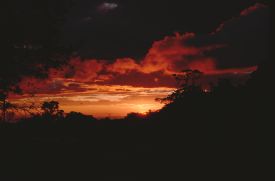 Monteverde Sunset