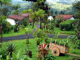 Grounds at Villa Blanca Clould Forest Hotel