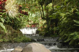 Tabacon Hot Springs Waterfall & Bridge, Arenal Volcano