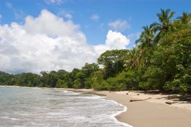 Beautiful beach in Manuel Antonio National Park