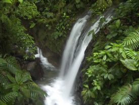 Monteverde Area