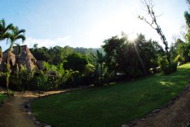 Looking at Rafiki Safari Lodge next to Rio Savegre