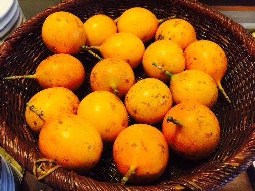 The Best Tropical fruits of Costa Rica - Javi's Travel Blog - Go Visit