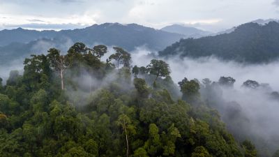 Cloud Forests of Costa Rica - Photo Gallery - Go Visit Costa Rica