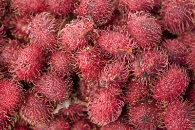 The Best Tropical Fruits Of Costa Rica Javi S Travel Blog Go Visit Costa Rica