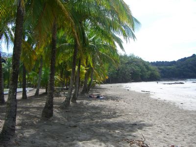 The Untouched Tropical Paradise Of Playa Carrillo Go Visit Costa Playa Carrillo