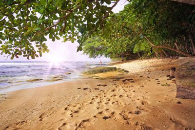 Manzanillo, Limon - Costa Rica - Go Visit Costa Rica