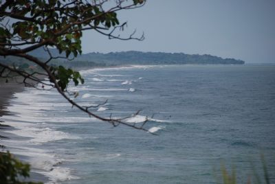 Ride Huge Waves In Playa Hermosa Puntarenas Go Visit Costa Rica
