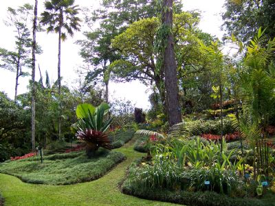 Wilson botanical gardens Wilson botanical gardens