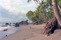 The Best Black Sand and White Sand Beaches in Costa Rica