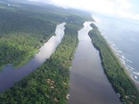 Tortuguero National Park