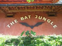 Hanging out at the Monteverde Bat Jungle