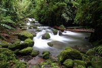 Tropical Rivers in Costa Rica- Photo Gallery