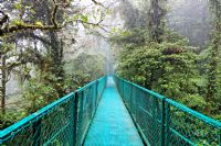 The 6 different kinds of Forests in Costa Rica