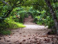 Cahuita National Park