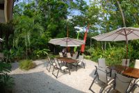 Dine with nature at Citrus restuarant