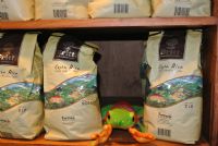 Get your caffeine fix at the Britt Coffee Tour