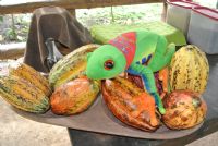 Chocolate Tours in Costa Rica